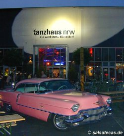 Salsafeverdays D�sseldorf