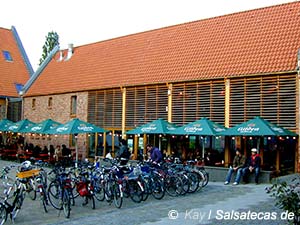 Salsa: Rueda-Festival in Köln